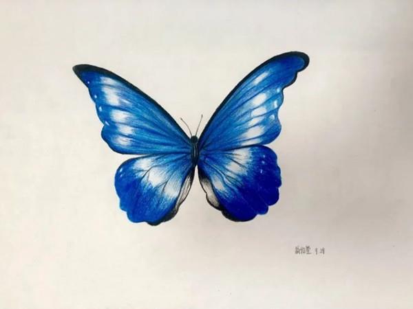 24 24.jpg